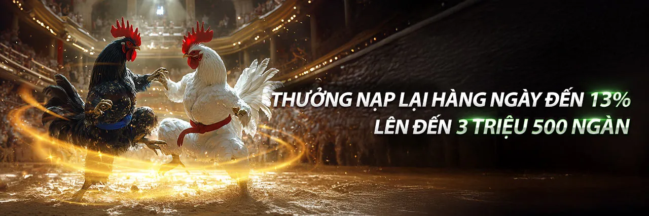 Hình ảnh chủ đạo ứng dụng thomo999